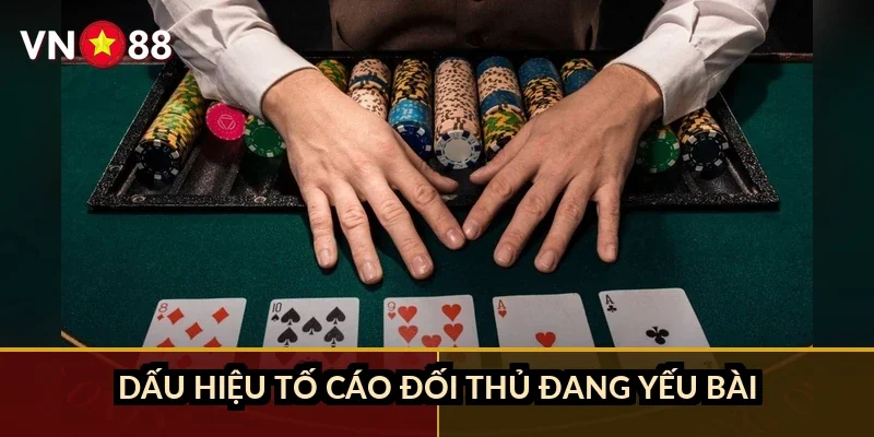 Xì tố tâm lý đối thủ VN88: đọc bài đối phương trước khi mất tiền 1 Dấu hiệu tố cáo đối thủ đang yếu bài